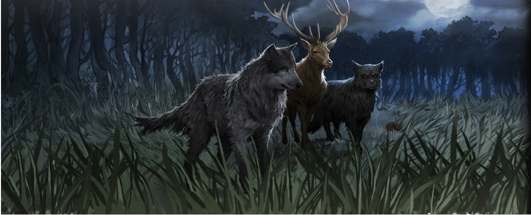Moony, Wormtail, Padfoot and Prongs - Pottermore Wiki