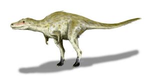 Tyrannosaurus juv NT