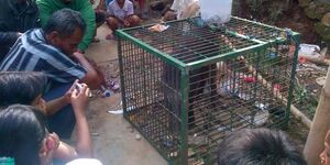 Ngepet in cianjur