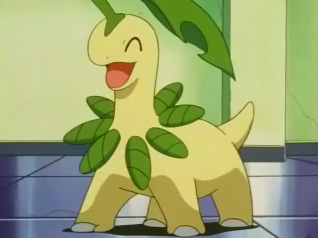 Bayleef Wiki Pokepédia