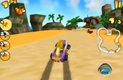 Cbnk2bandicootbeach