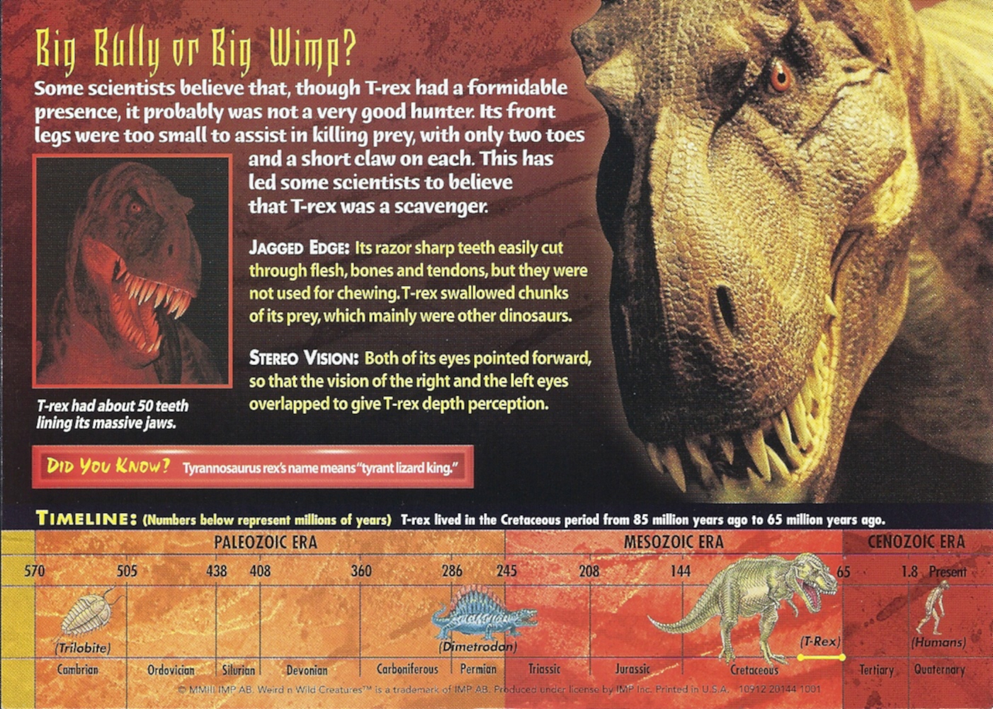 t rex back
