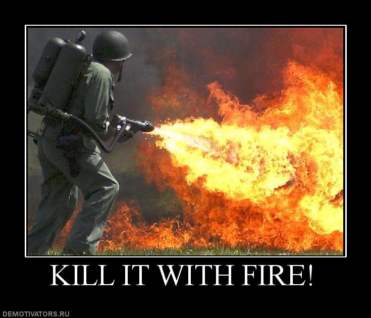 Kill_it_with_fire_image_macro.jpg