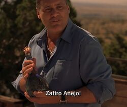 Zafiro Anejo