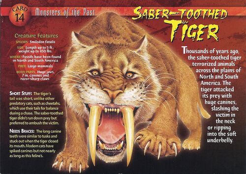 suzanne zeedyk saber tooth tiger