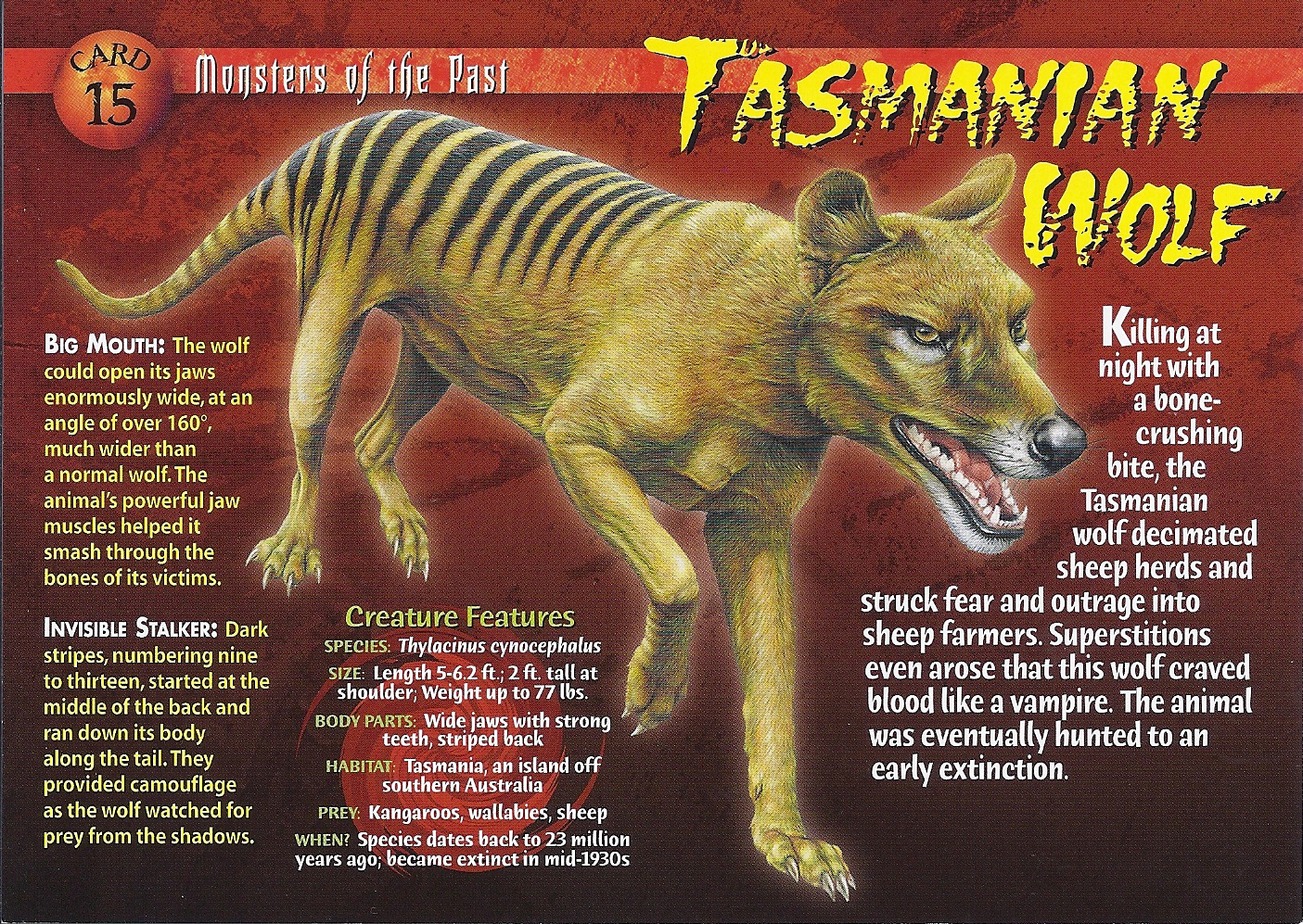 Tasmanian Wolf - Wierd N'wild Creatures Wiki