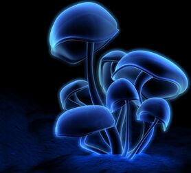NeonMushrooms