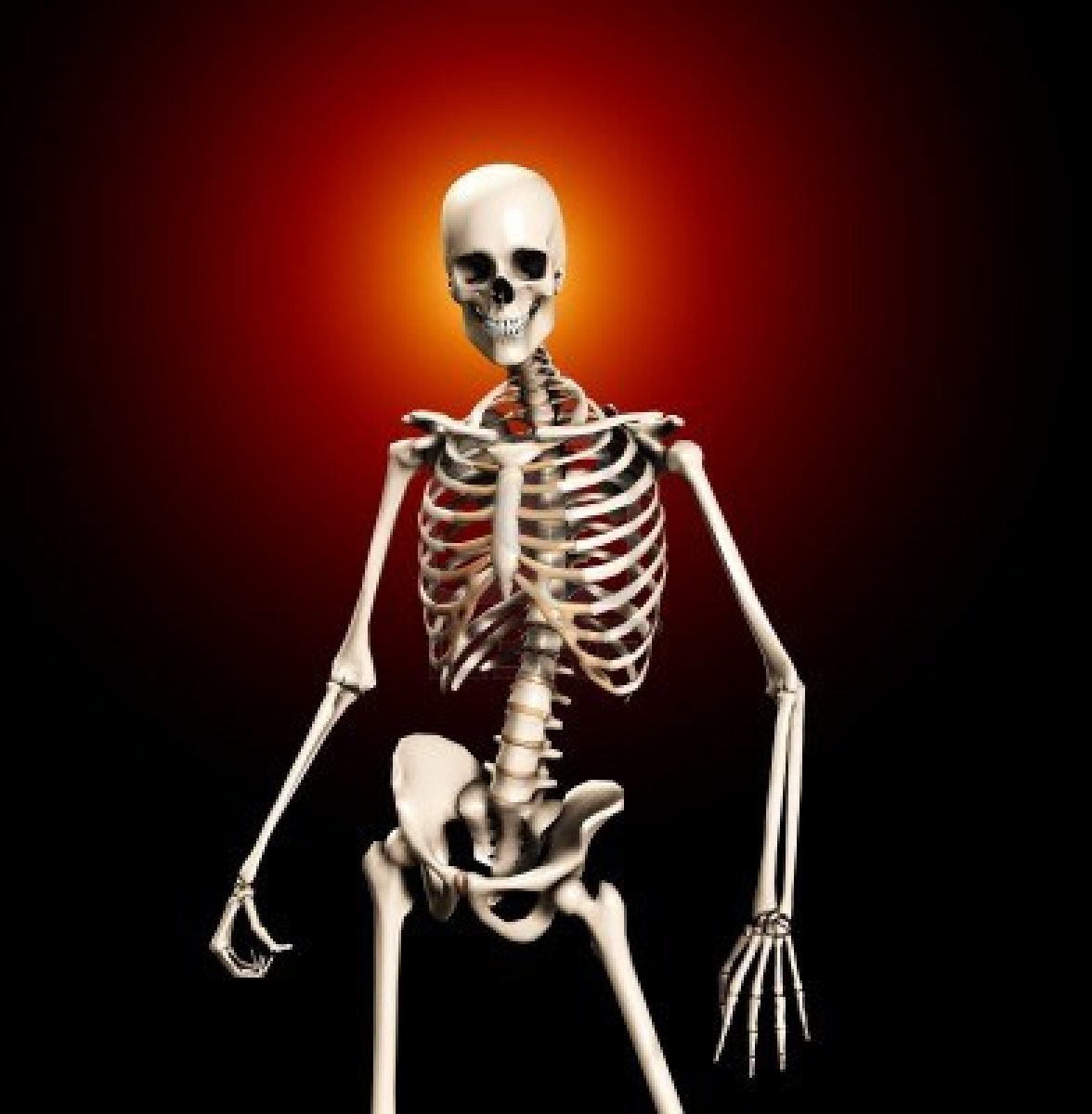 Skeleton - Hallopedia