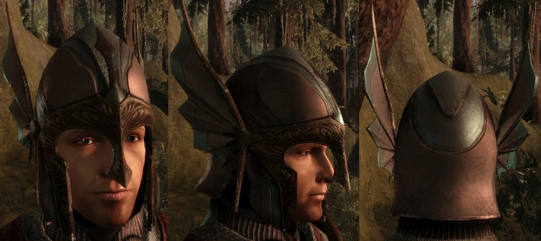 Grey_Warden_Helmet.png