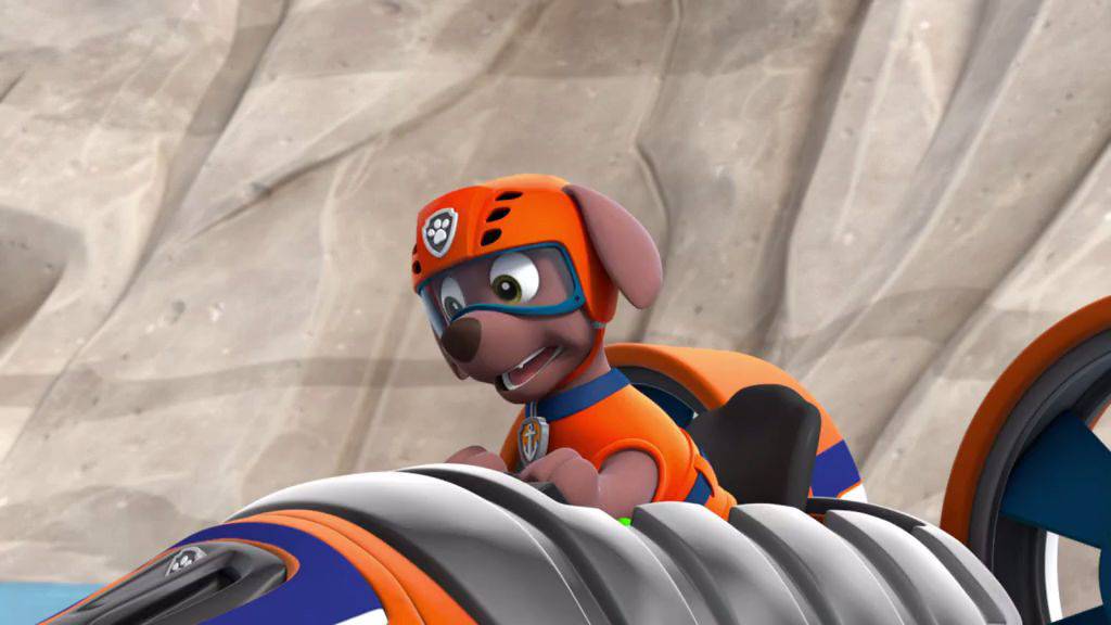 zuma paw patrol