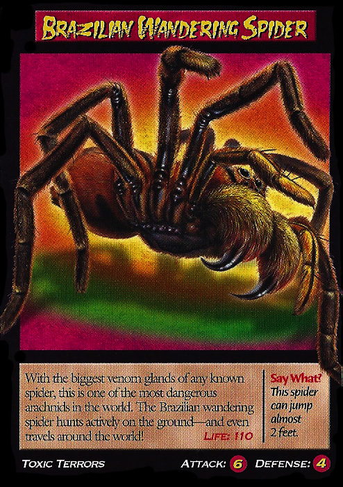 ... .wikia.com/wiki/Brazilian_Wandering_Spider?oldid=23520 ... .wikia.com/wiki/Brazilian_Wandering_Spider?oldid=23520