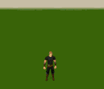 Champion of Saradomin