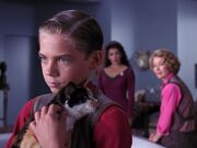 Jeremy und Patches