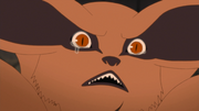 Kurama pequena
