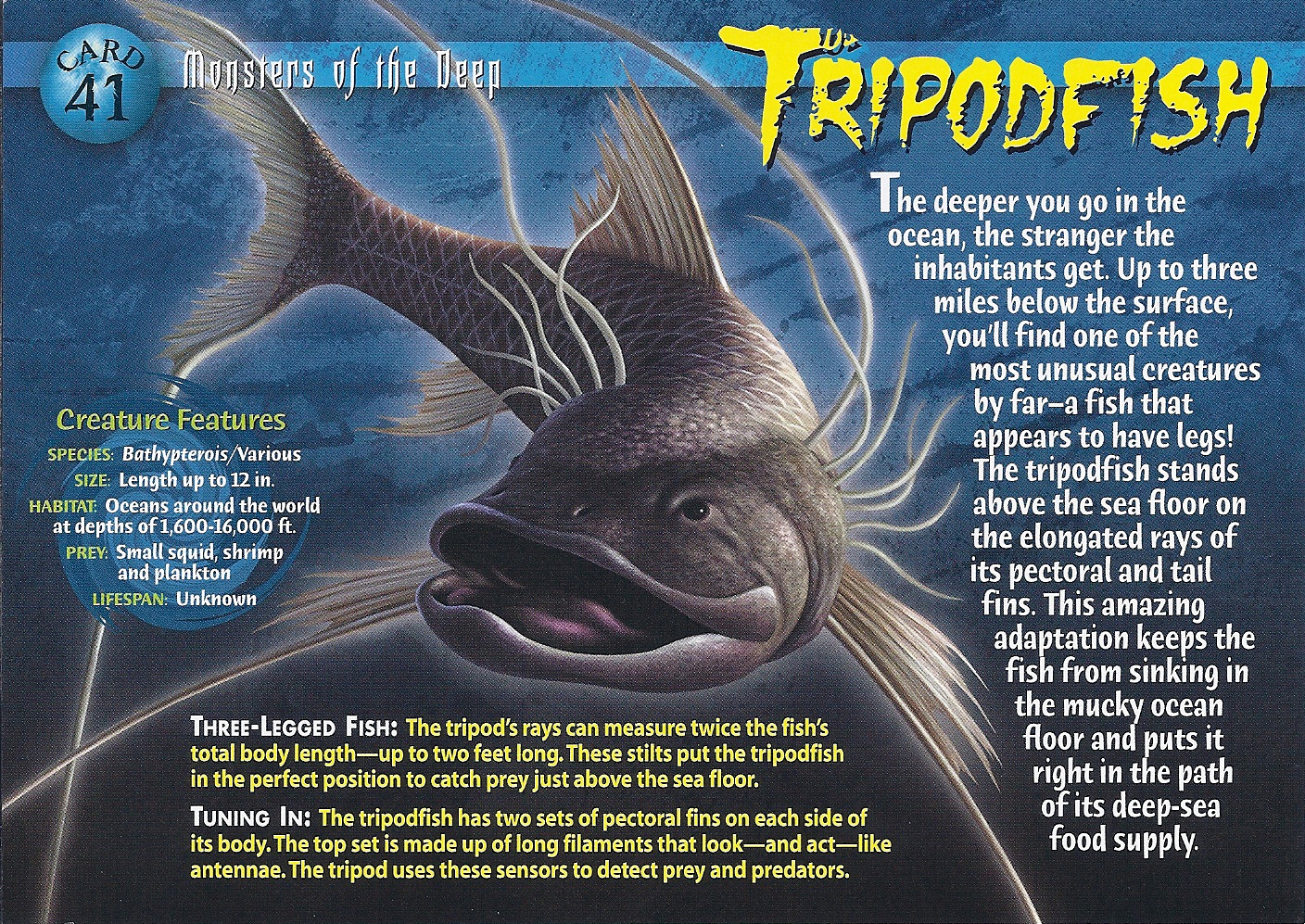 Tripodfish Wierd N'wild Creatures Wiki