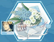 Noiz's gift