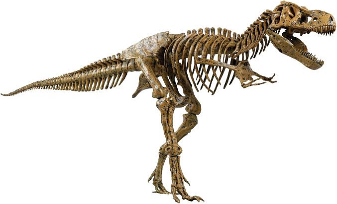 godzilla skeleton