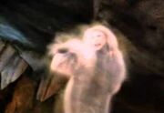 Thewitch