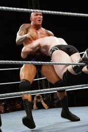 SpikeDDT