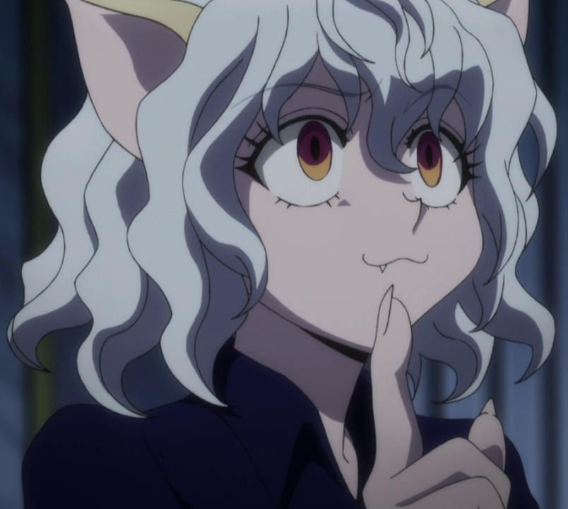 Neferpitou, Hunterpedia