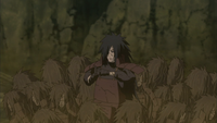 Tajuu Mokuton Bunshin no Jutsu (anime)
