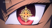 CrowsEye