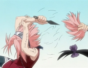 Sakura corta su cabello