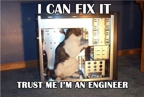 Cat-fixing-computer-engineer.jpg