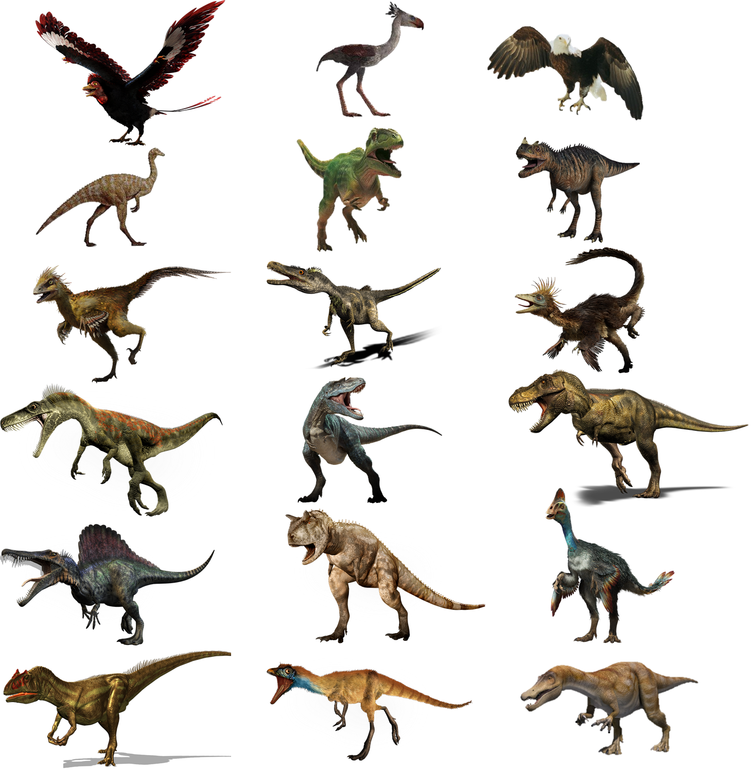 Opiniones De Theropoda
