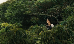 Katniss sobre los arboles en la arena de los 75° Juegos del Hambre