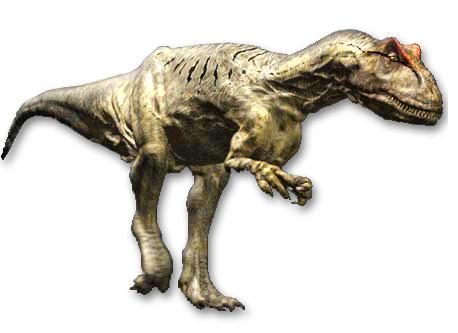 an allosaurus