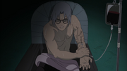 Yakushi Kabuto