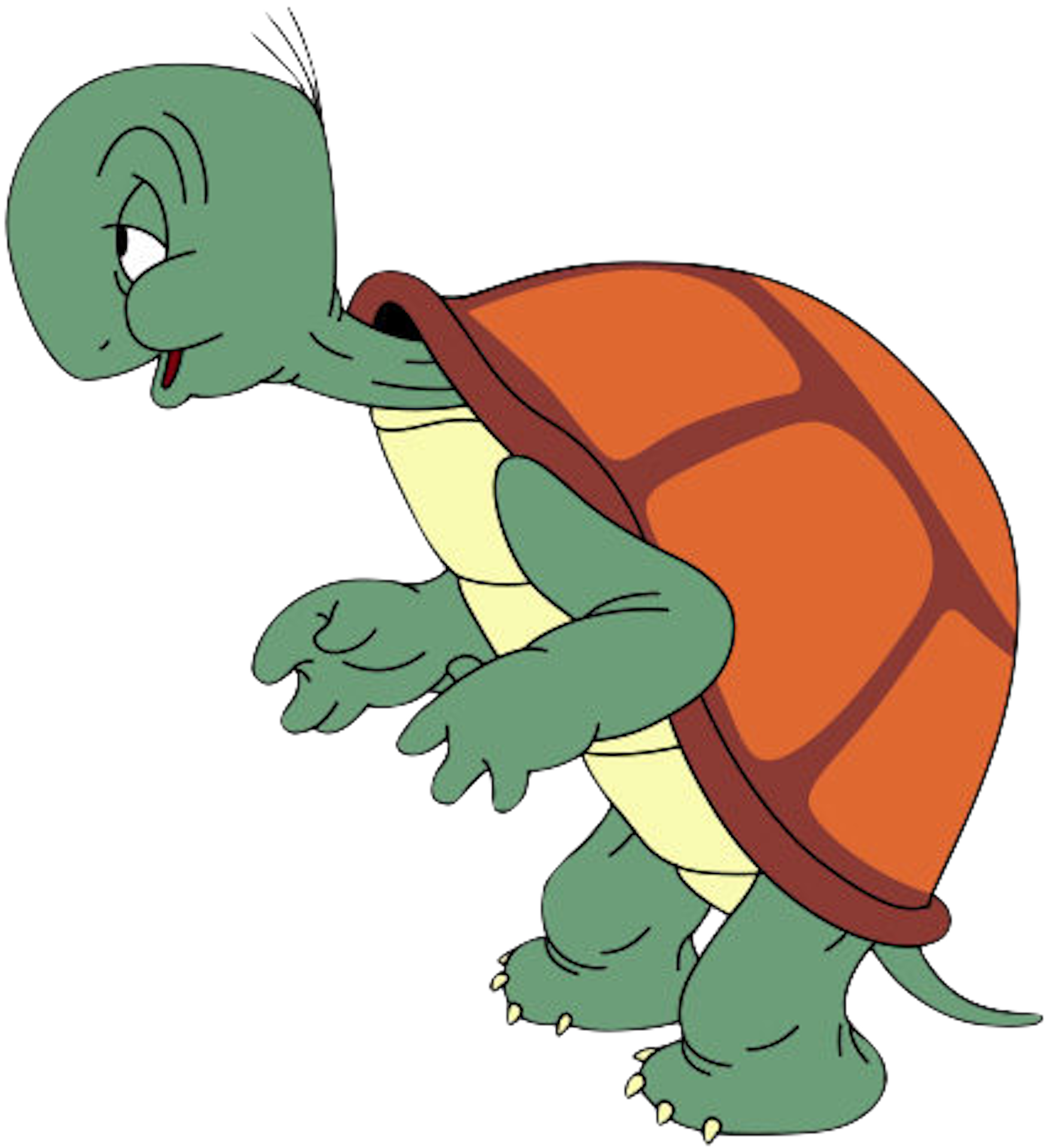 cecil-turtle-pooh-s-adventures-wiki