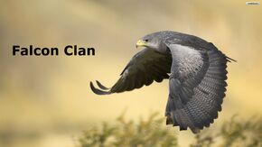 Falcon clan pic