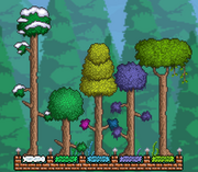 Different Trees