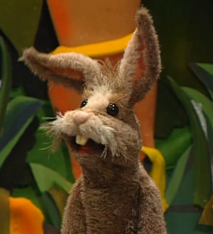 Sean the Rabbit