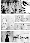 Naruto-4462853