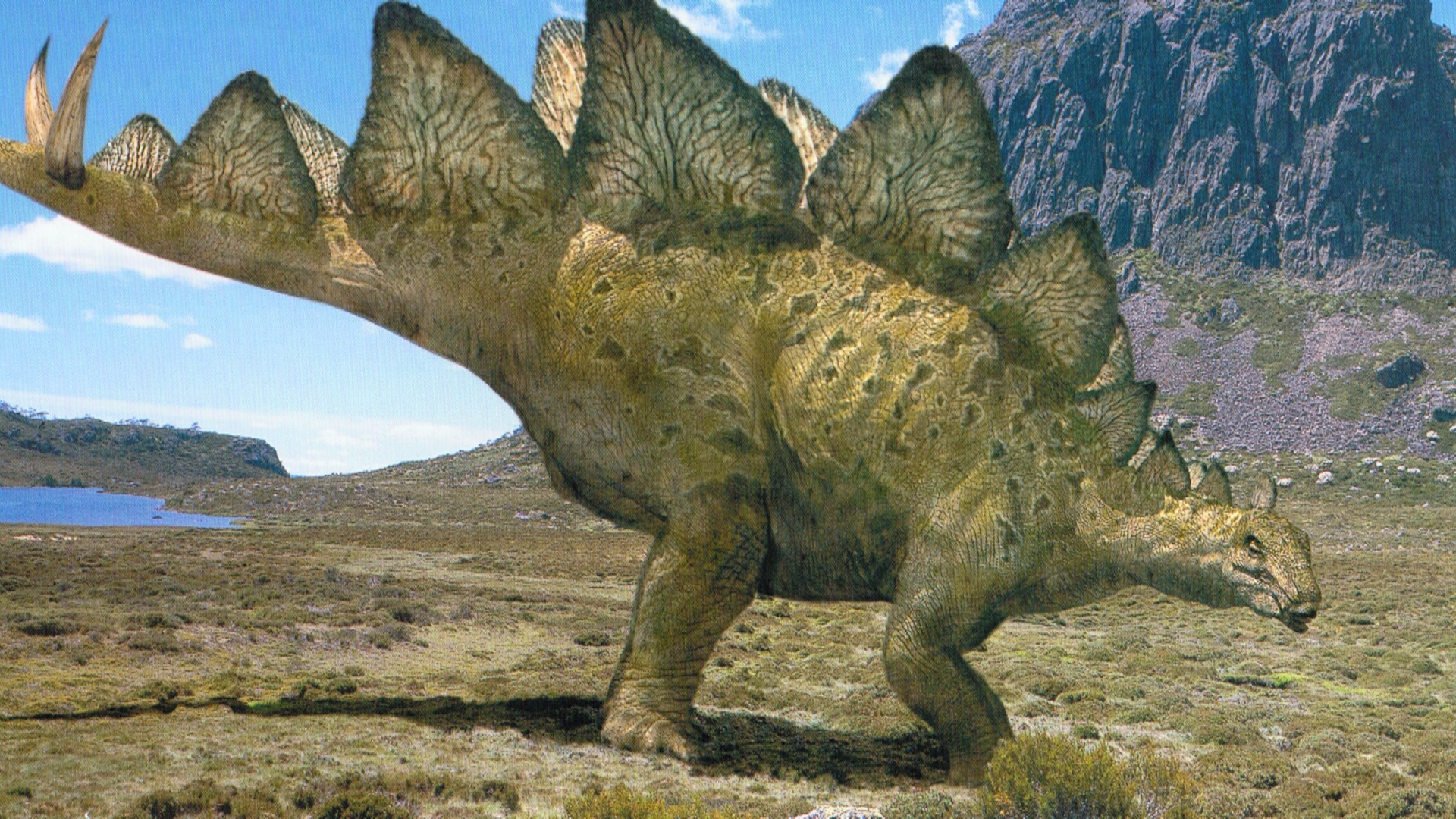 dinosaur with spikes on tail and back