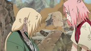 Tsunade e Sakura
