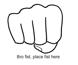 Lol_bro_fist.png