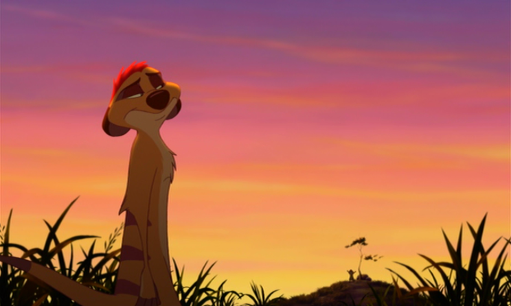 Image - Timon Lion King 3027.PNG - DisneyWiki