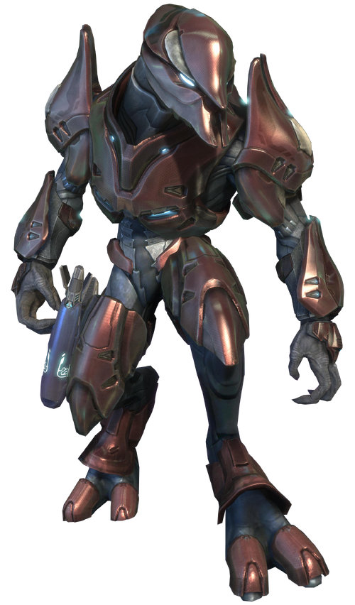 Special Operations Sangheili - Halo Nation - Wikia