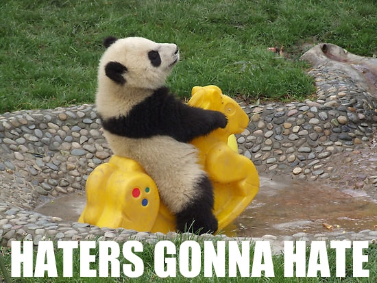 http://img2.wikia.nocookie.net/__cb20131130032552/dragonball/images/0/0c/Img-haters-gonna-hate-panda-352.jpeg