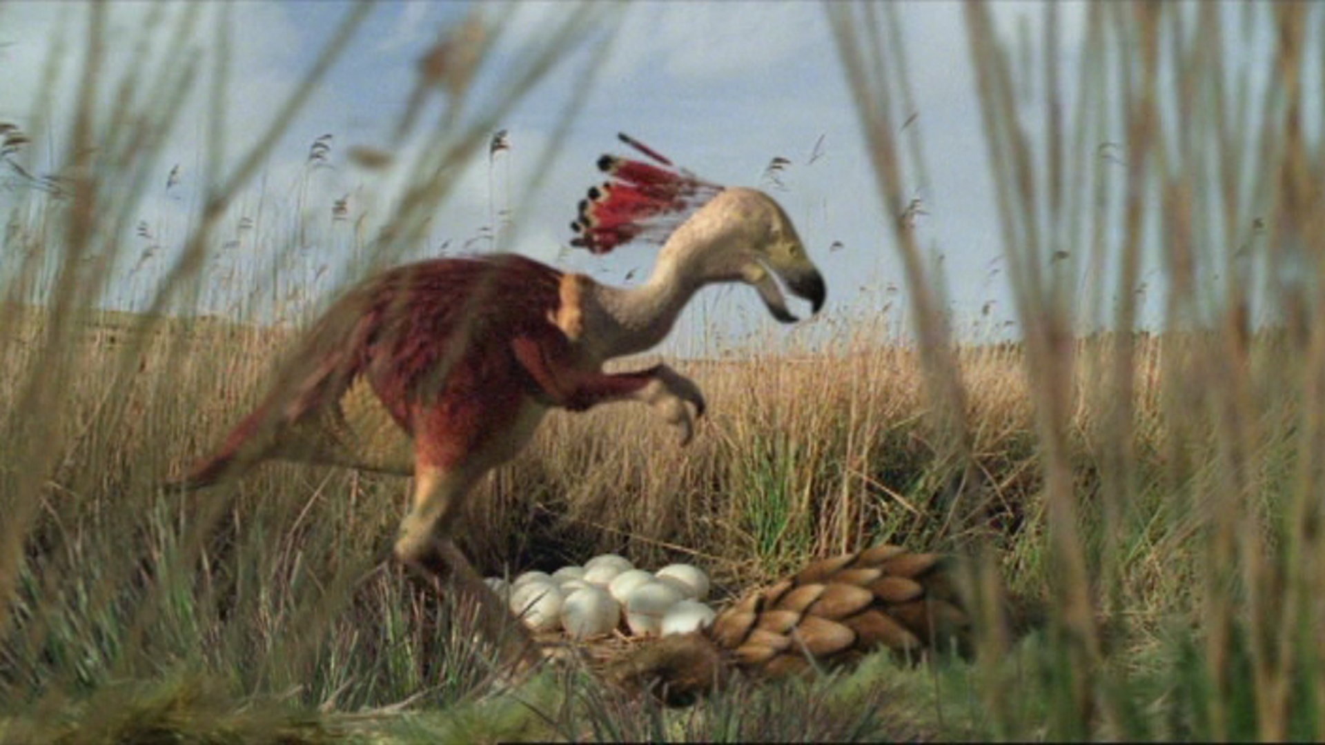 Rattleback The Future Is Wild Wiki