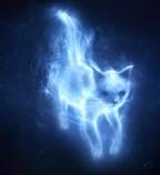 Catpatronus