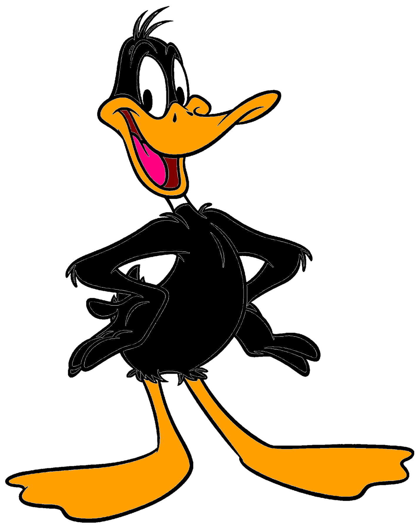 What Kind Of Duck Is Daffy