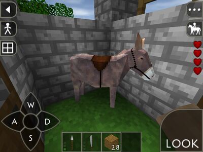 Saddled donkey