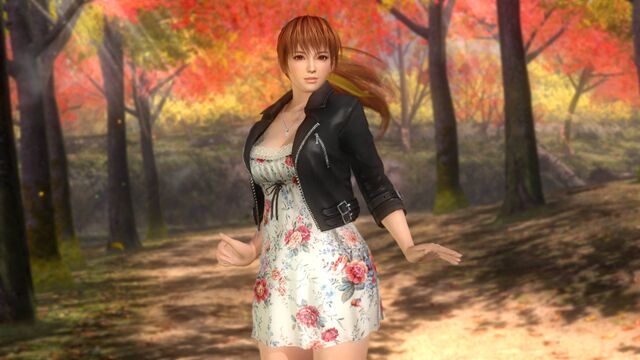 640px-DOA5U_Kasumi_Casual.jpg