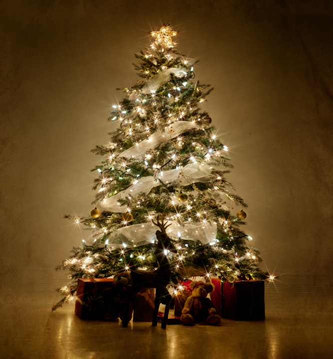 Christmas Tree Fireplace Scene