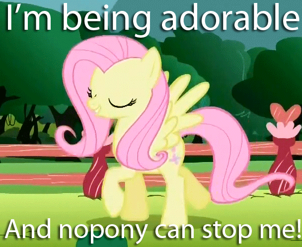 Fluttershy_being_adorable.gif